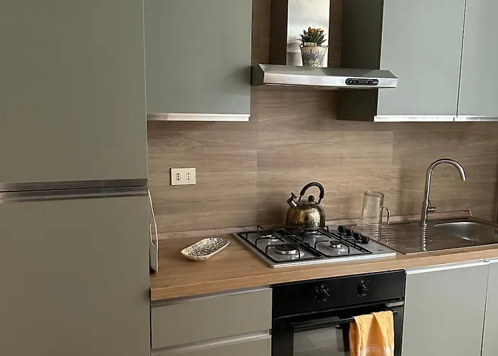 公寓 Borgo Pio Vatican 罗马